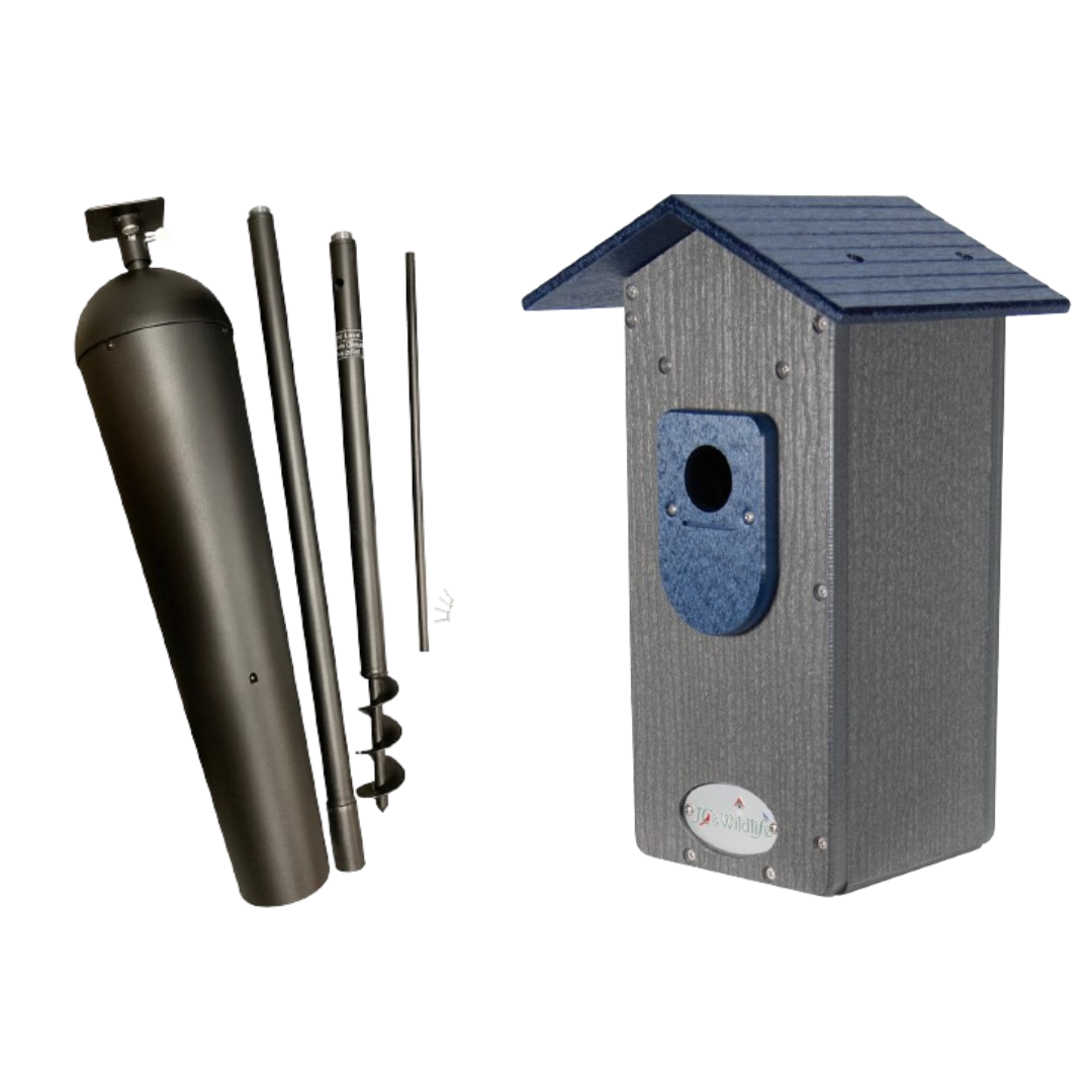 JCS Wildlife Smart Bluebird House - Wi-Fi Camera & Solar Powered Birdhouse, Live Streaming, Bird Nest Monitoring