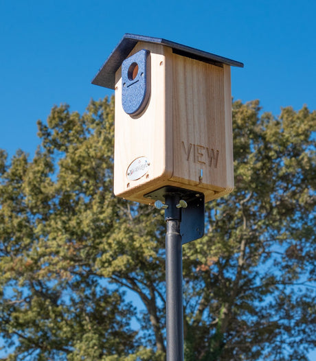 Cedar Ultimate Bluebird House (Blue) - JCS Wildlife