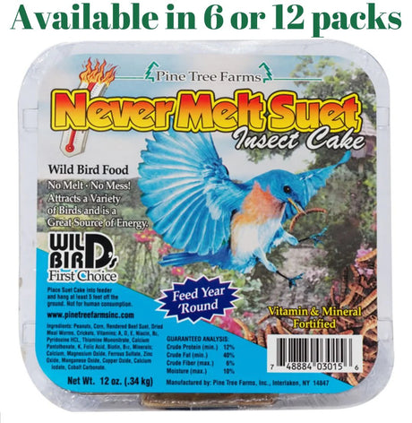 Insect Pine Tree Farm's Never Melt Suet Cake 12 oz. - JCS Wildlife