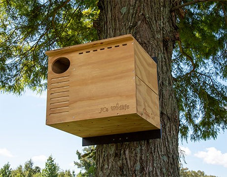 JCS Wildlife Barn Owl Nesting Box - JCS Wildlife