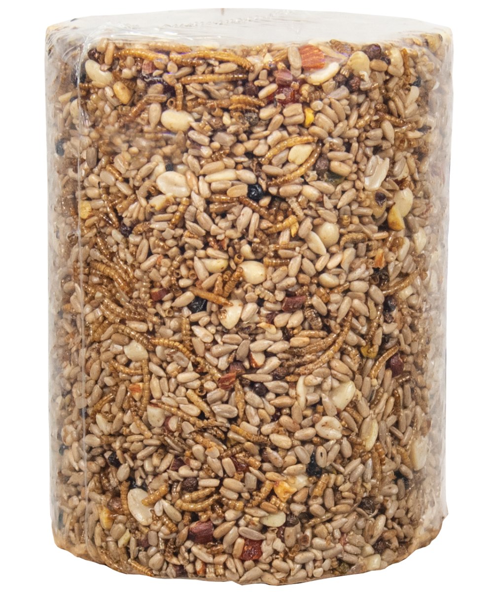 JCS Wildlife Bugs Nuts and Berries Premium Bird Seed Large Cylinder, 3.8 lb - JCS Wildlife