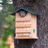 JCS Wildlife Cedar Screech Owl Nest Box with Poly Lumber Roof - JCS Wildlife