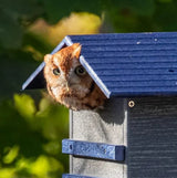 JCS Wildlife Cedar Screech Owl Nest Box with Poly Lumber Roof - JCS Wildlife