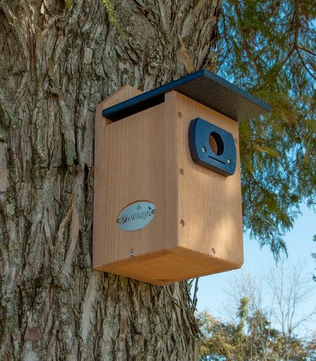 JCS Wildlife Cedar Wood Standard Eastern and Western Bluebird House - JCS Wildlife