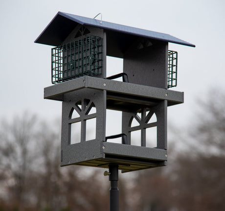 JCS Wildlife Double Fly Thru Bird Feeder with Suet Cages - JCS Wildlife