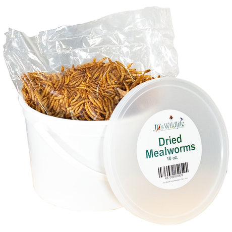 JCS Wildlife Dried Mealworm Pail - 10oz - JCS Wildlife