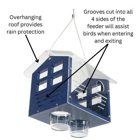 JCS Wildlife Enclosed Bluebird Feeder 2.0 - JCS Wildlife