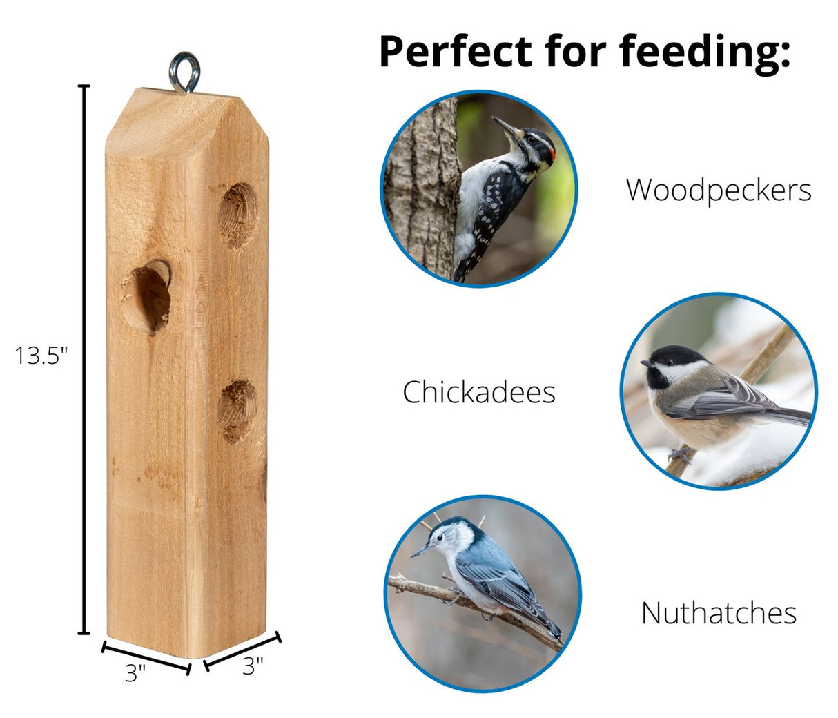 JCS Wildlife Log Jammer Suet Plug Feeder - Holds 3 Suet Plugs - JCS Wildlife