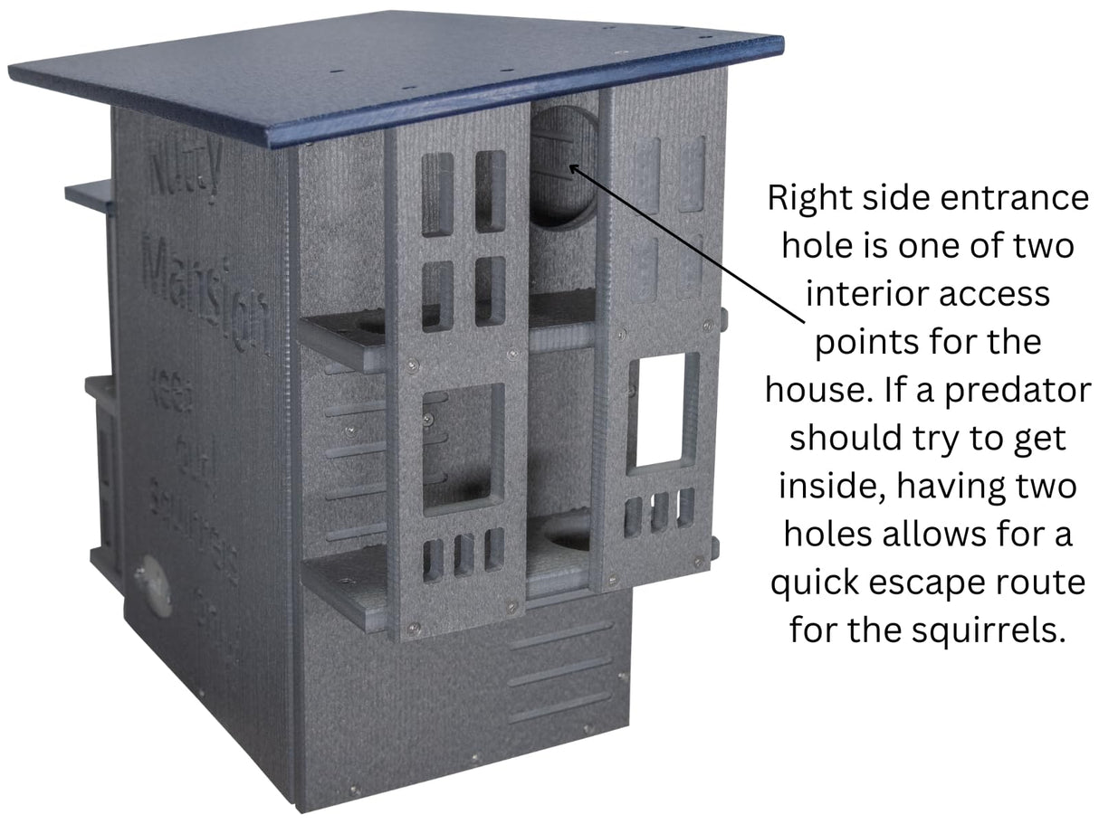 JCS Wildlife Nutty Mansion Squirrel House - JCS Wildlife