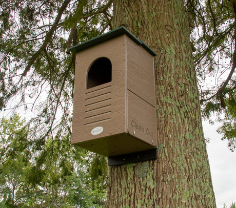 JCS Wildlife Recycled Poly Lumber Barred Owl Nesting Box - JCS Wildlife