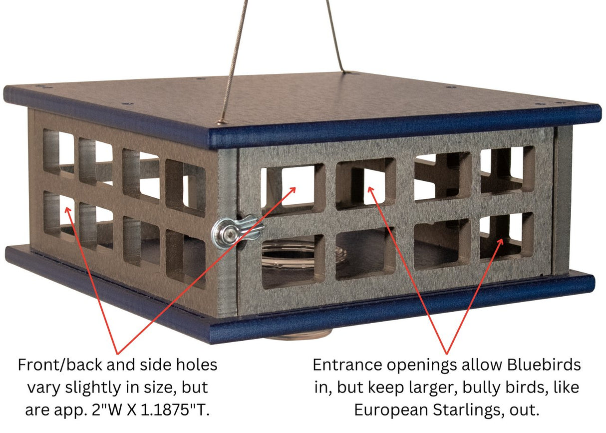 JCS Wildlife Recycled Poly Lumber Caged Platform Bluebird Feeder (Single Cup) - JCS Wildlife