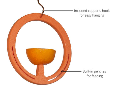 JCS Wildlife Spike Oriole Orange Fruit Feeder - JCS Wildlife