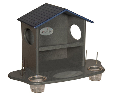 JCS Wildlife Squirrel Snack Station (Small & Large) - JCS Wildlife