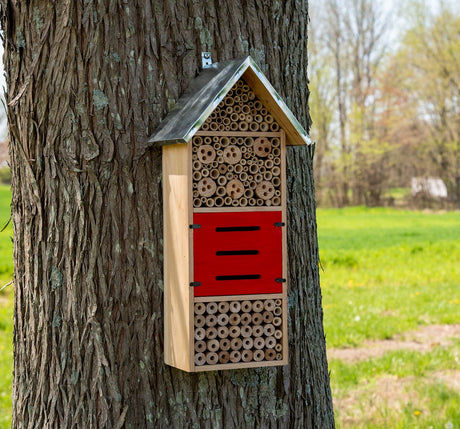 JCS Wildlife Tall Insect Hotel - Great for housing Mason Bees, Leaf-Cutter Bees and Lacewings - JCS Wildlife