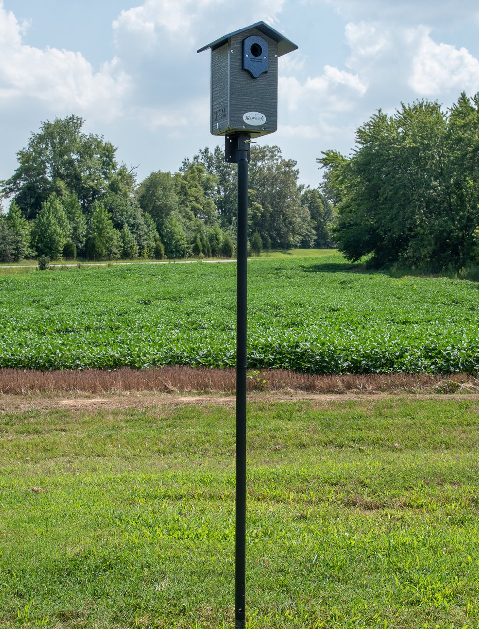 JCS Wildlife Ultimate Bluebird House - Mounting Pole Bundles Available! - JCS Wildlife