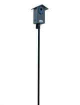 JCS Wildlife Ultimate Bluebird House - Mounting Pole Bundles Available! - JCS Wildlife