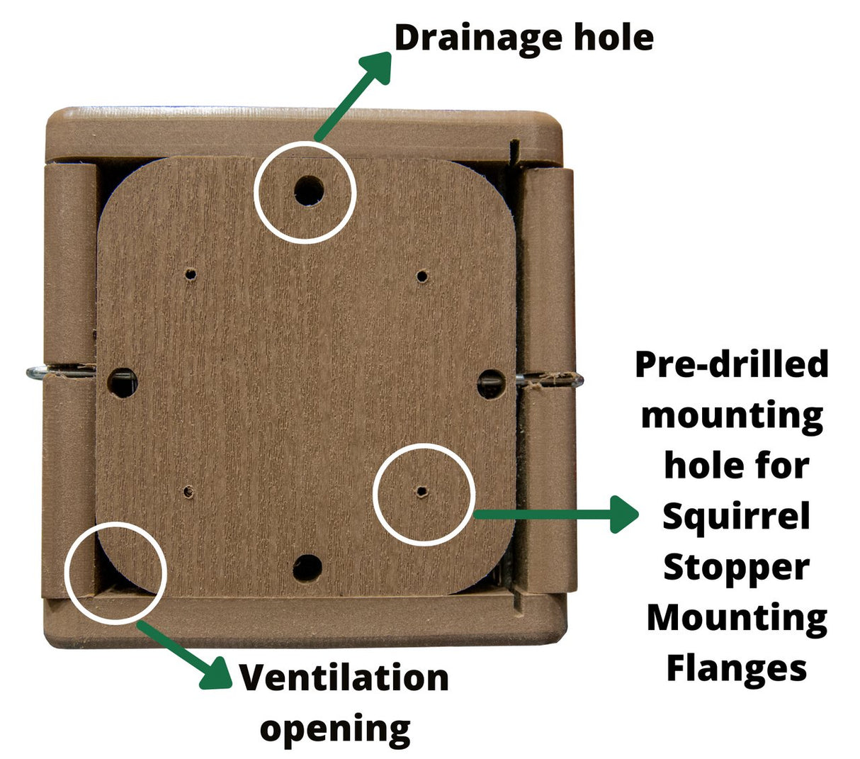 JCS Wildlife Ultimate Bluebird House - Mounting Pole Bundles Available! - JCS Wildlife