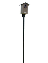 JCS Wildlife Ultimate Bluebird House - Mounting Pole Bundles Available! - JCS Wildlife