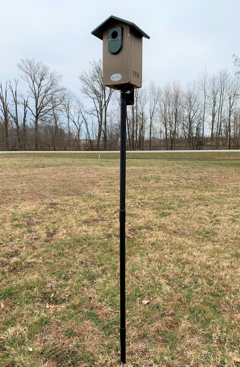 JCS Wildlife Ultimate Bluebird House - Mounting Pole Bundles Available! - JCS Wildlife