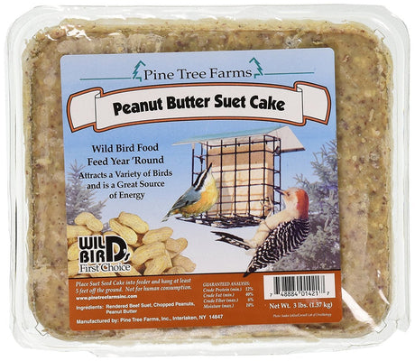 Pine Tree 1421 Peanut Butter Wild Bird Suet Cake, 3-Pound - JCS Wildlife