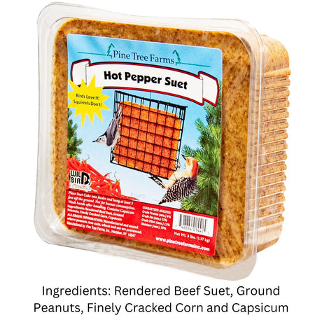 Pine Tree 1441 Hot Pepper Suet Cake, 3-Pound - JCS Wildlife