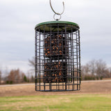 Squirrel Stopper Large Round Squirrel Proof Suet Feeder with Easy-Open Side Door - Holds 4 Suet or Seed Cakes - JCS Wildlife