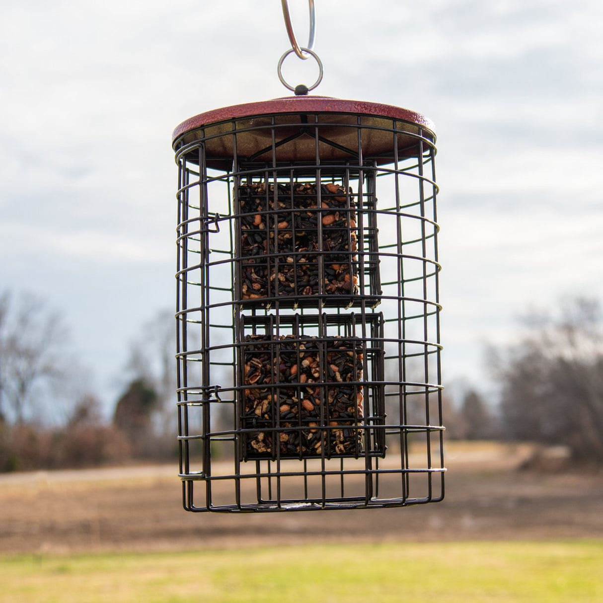 Squirrel Stopper Large Round Squirrel Proof Suet Feeder with Easy-Open Side Door - Holds 4 Suet or Seed Cakes - JCS Wildlife